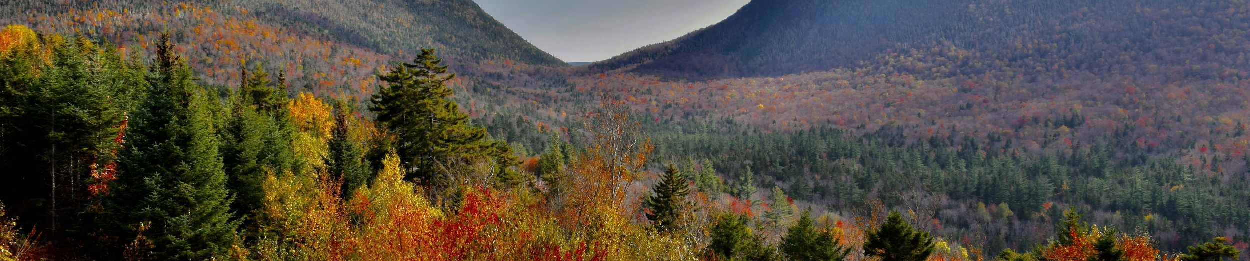 Fall foliage and mountains in New Hampshire