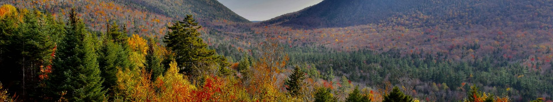 Fall foliage and mountains in New Hampshire